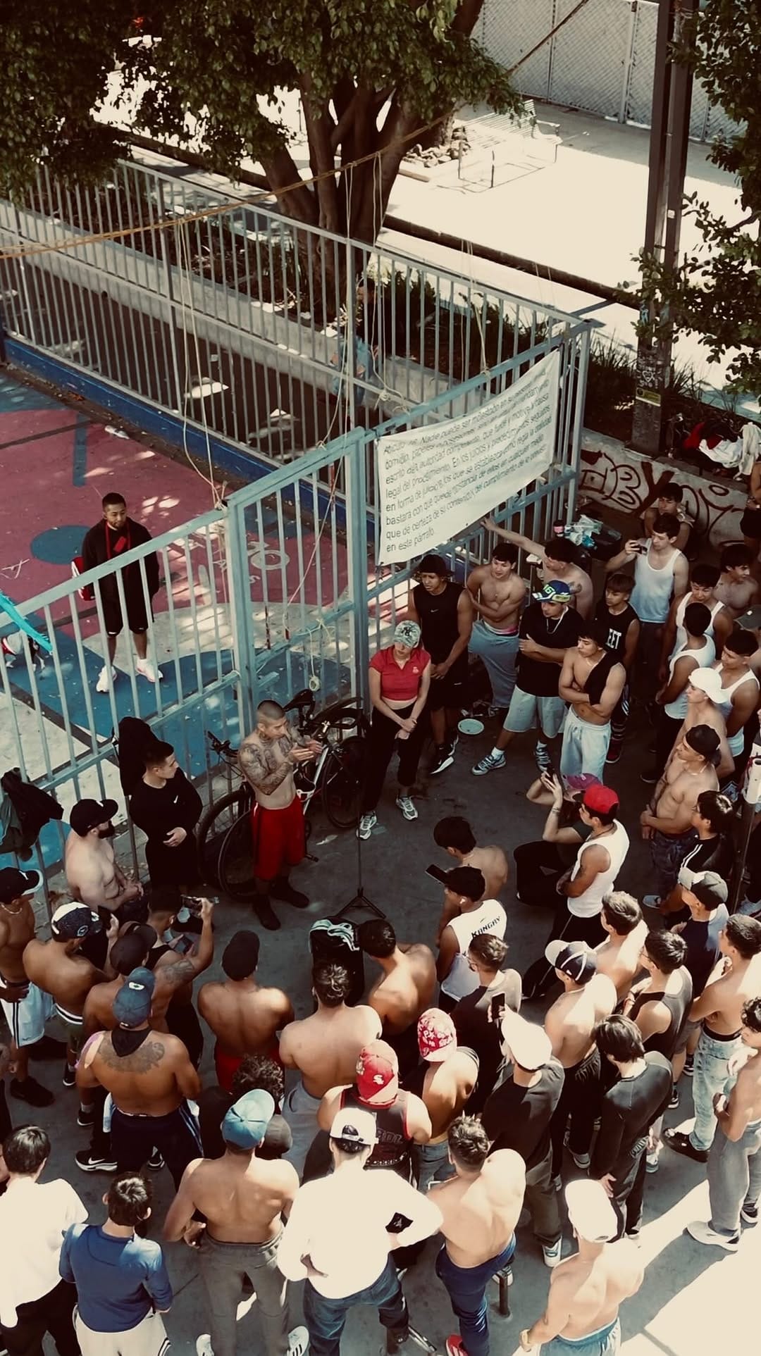 Post 5 by Daghni Fresco on Instagram (video)