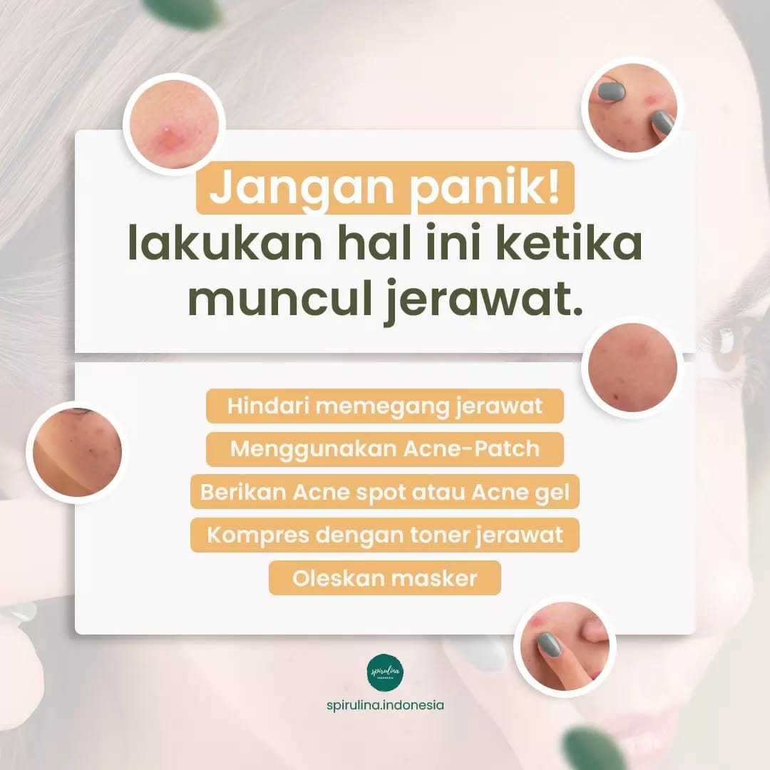 Post 10 by Spirulina Indonesia on Instagram (carousel)