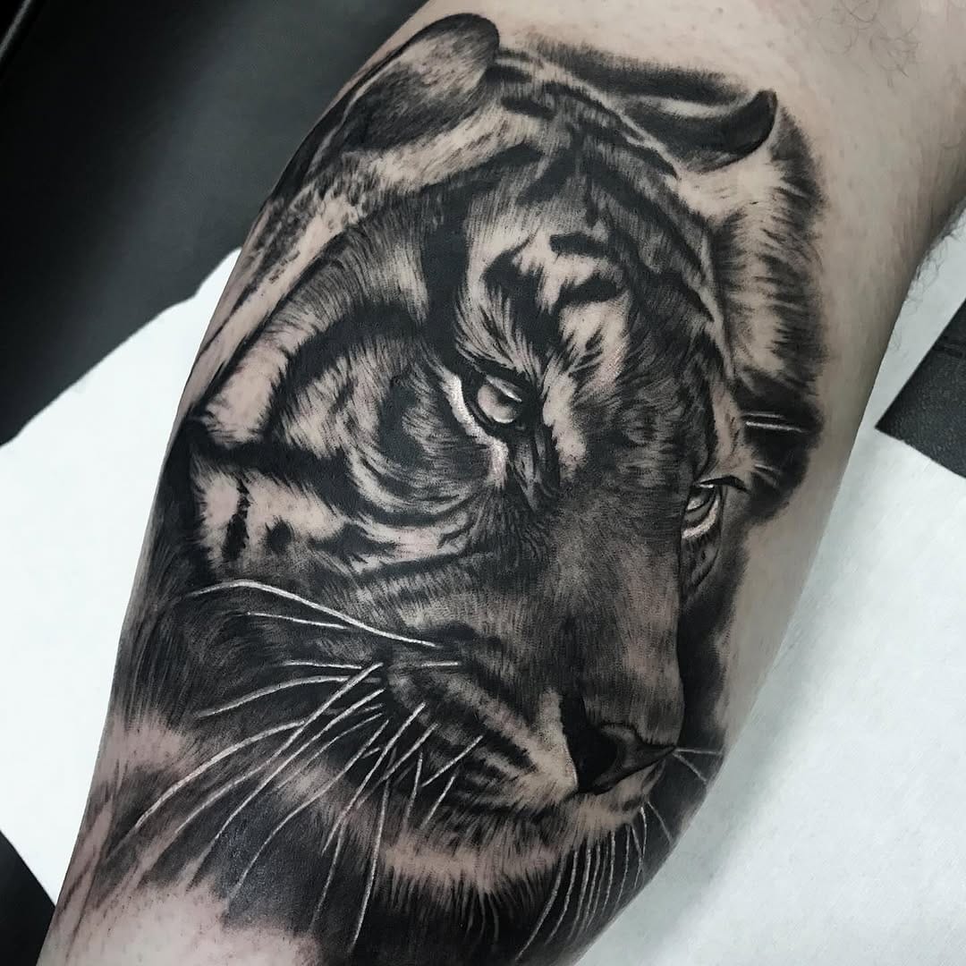 Post 5 by @pedrovate69 on Instagram (image)