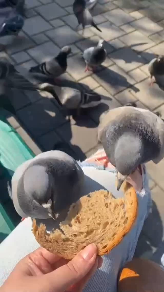 Post 1 by S.Design on Instagram (video)