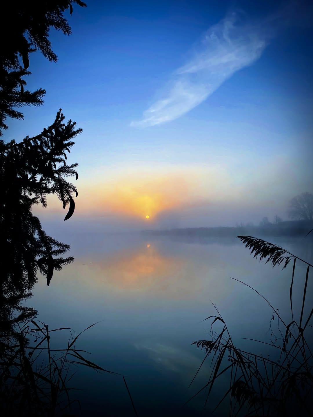Post 9 by Martin on Instagram (image)