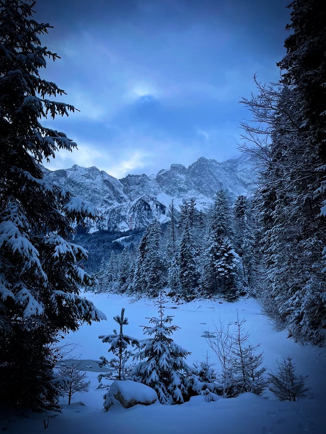 Post 5 by Martin on Instagram (image)