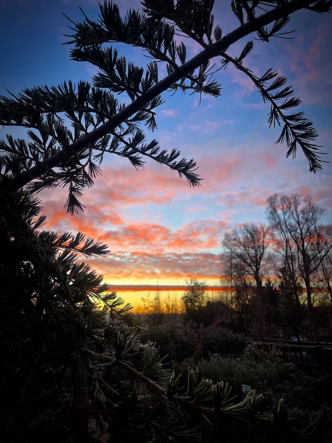 Post 10 by Martin on Instagram (image)