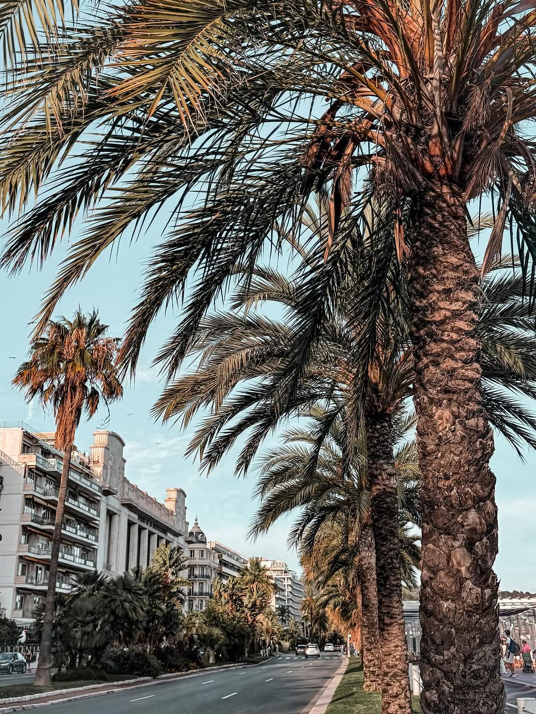 Post 6 by Anna 🌙 on Instagram (image)