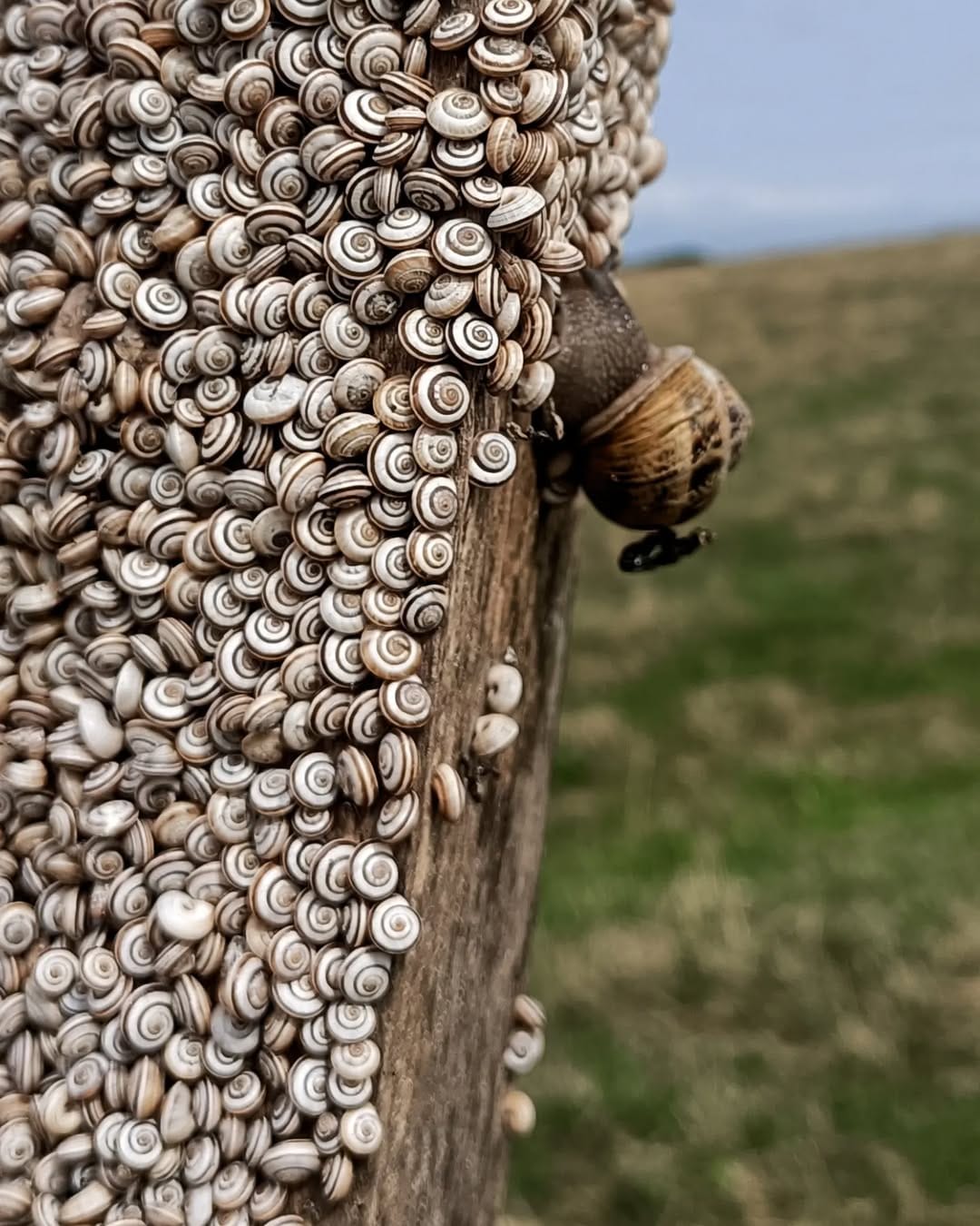 Post 10 by Mark Conka on Instagram (image)