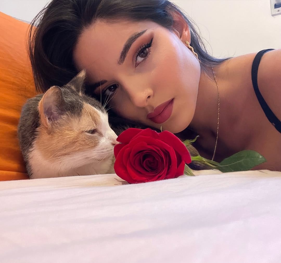 Post 5 by Daphne 🌹 on Instagram (carousel)