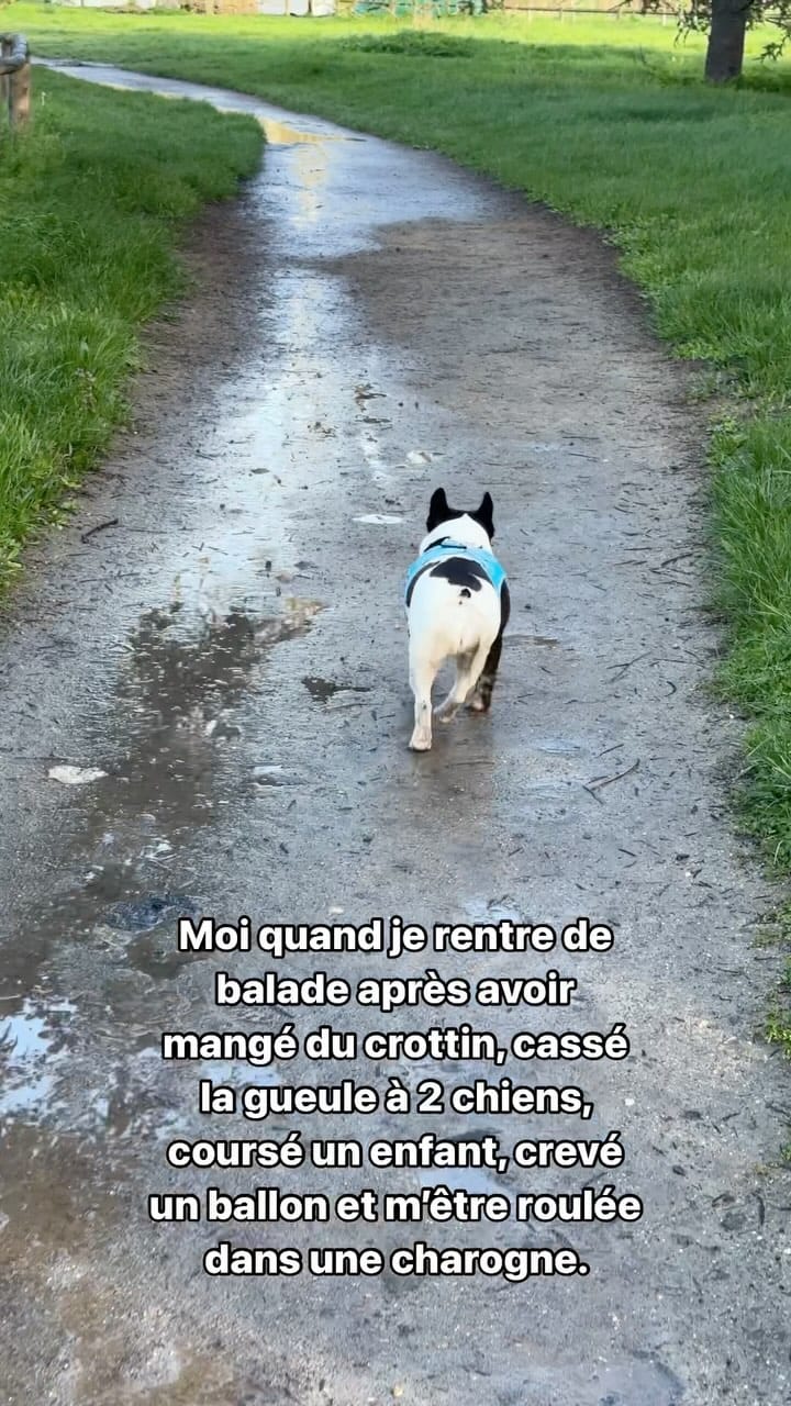 Post 2 by Pénélope on Instagram (video)