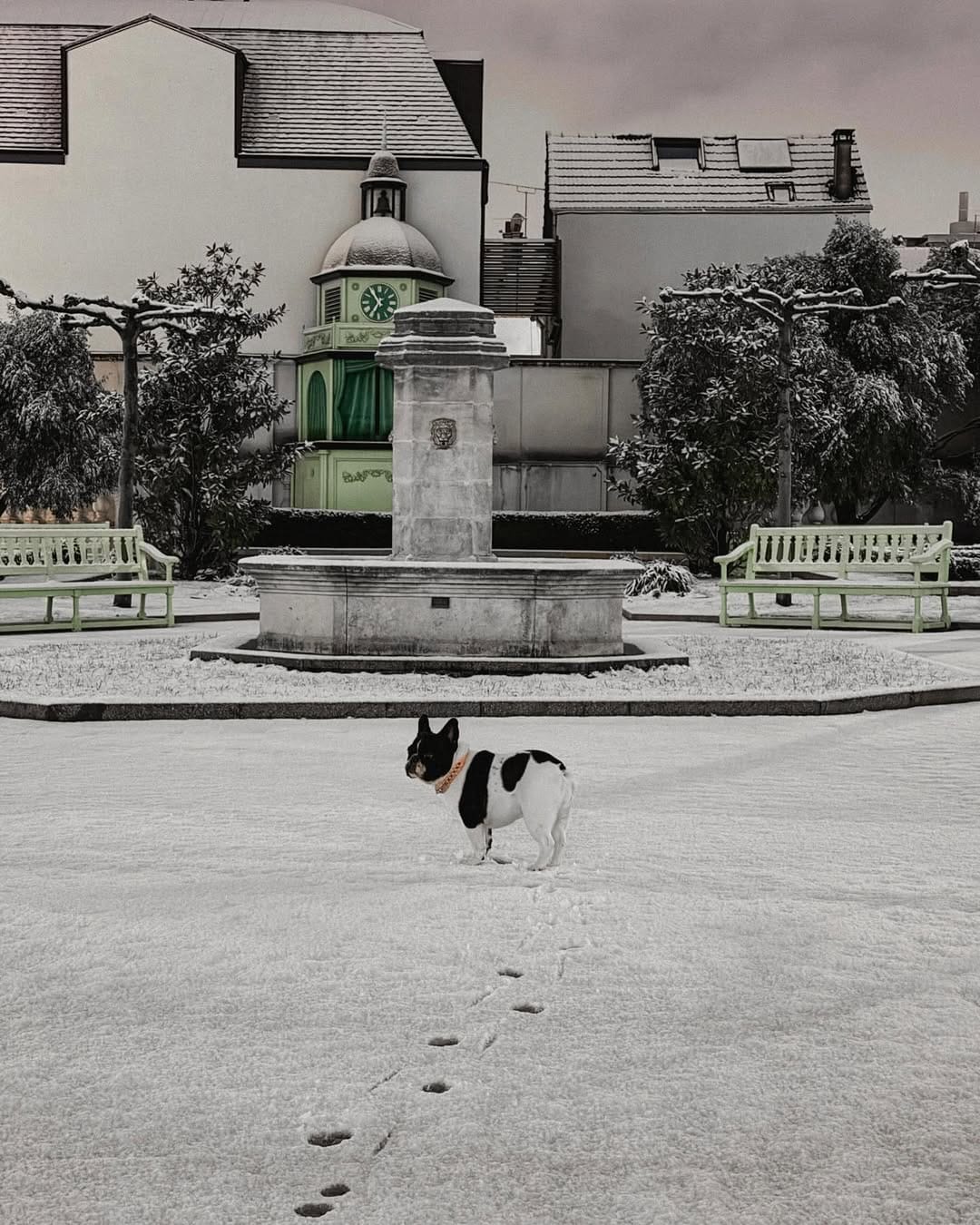 Post 4 by Pénélope on Instagram (carousel)