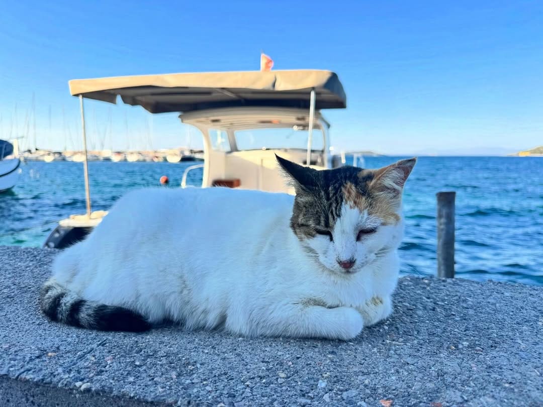 Post 2 by İzmir is love on Instagram (image)