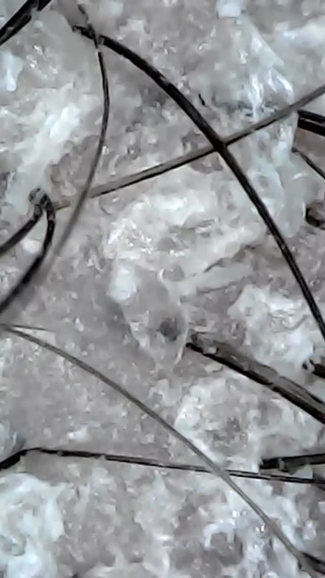 Post 6 by DermOrganicEstonia on Instagram (video)