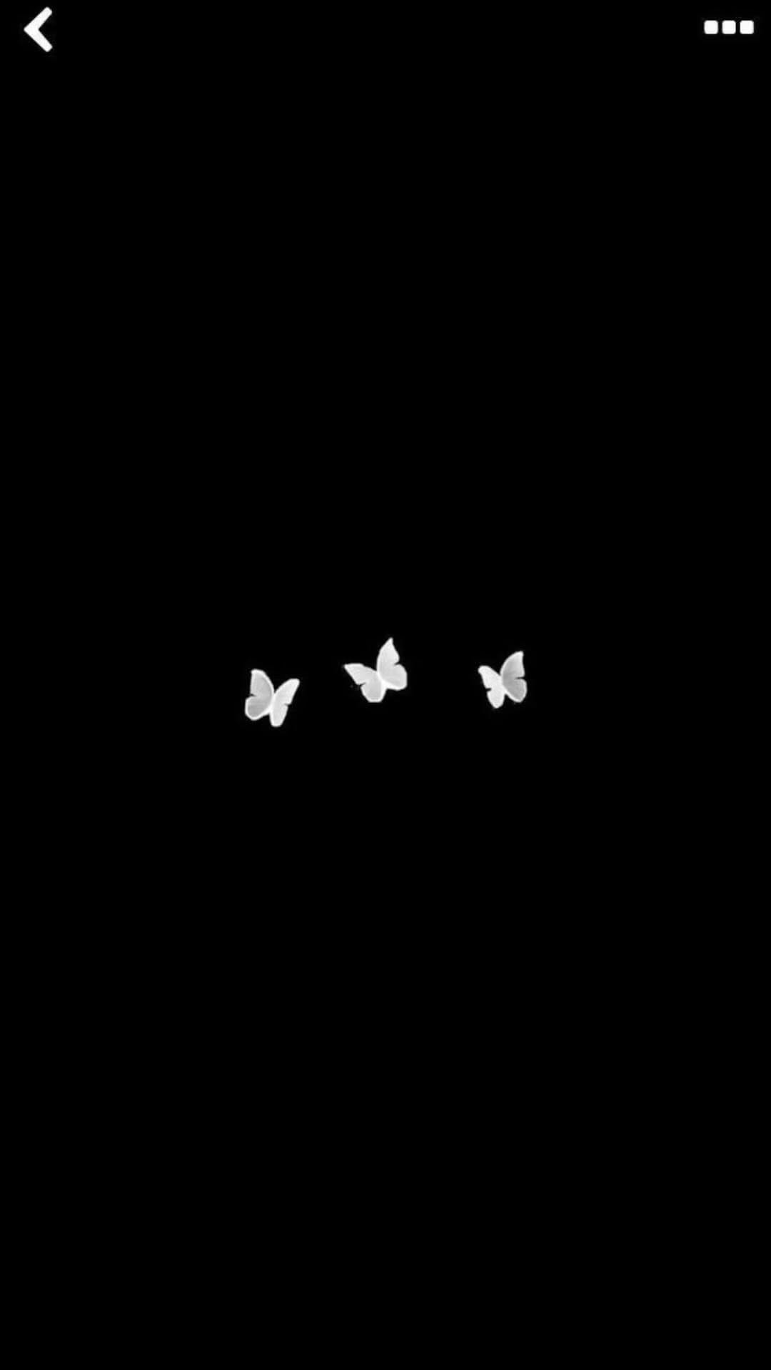 Post 8 by ShahLa AkbaRi on Instagram (video)
