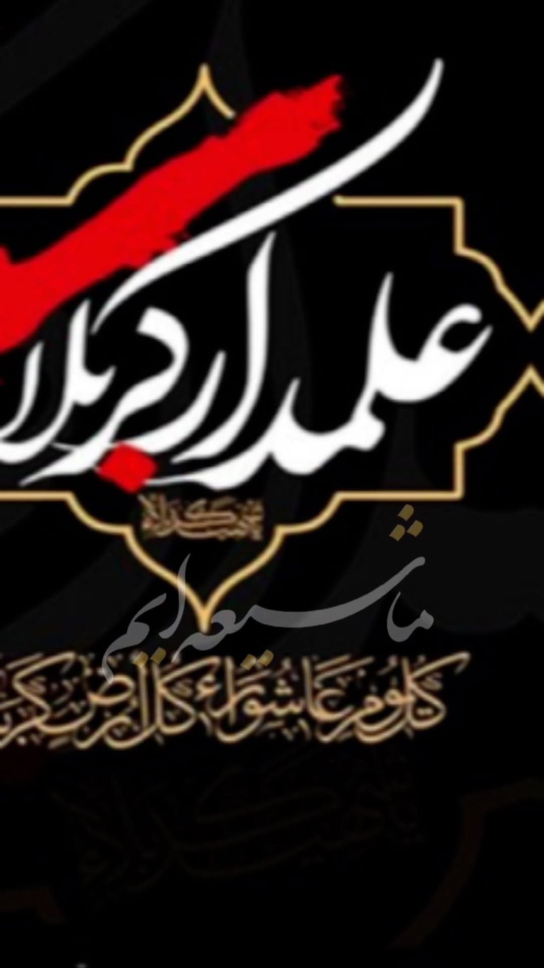 Post 10 by ShahLa AkbaRi on Instagram (video)