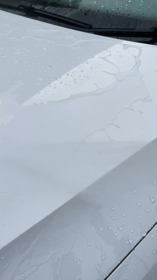 Post 4 by 🪣大ちゃん🧽 on Instagram (video)