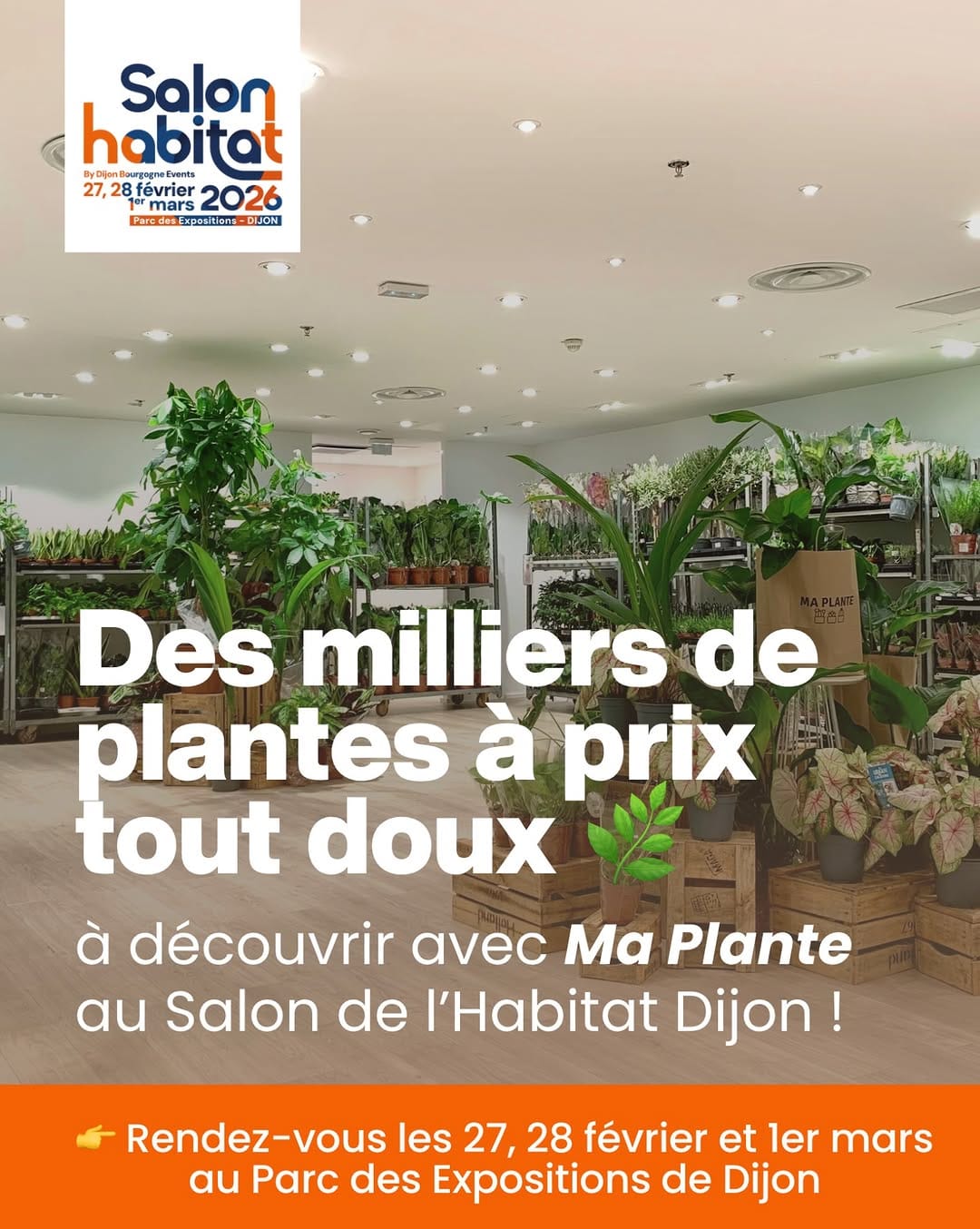 Post 3 by MA PLANTE on Instagram (carousel)
