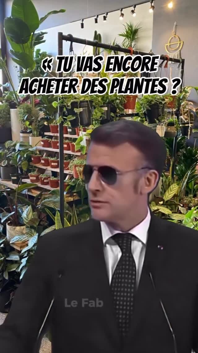 Post 4 by MA PLANTE on Instagram (video)