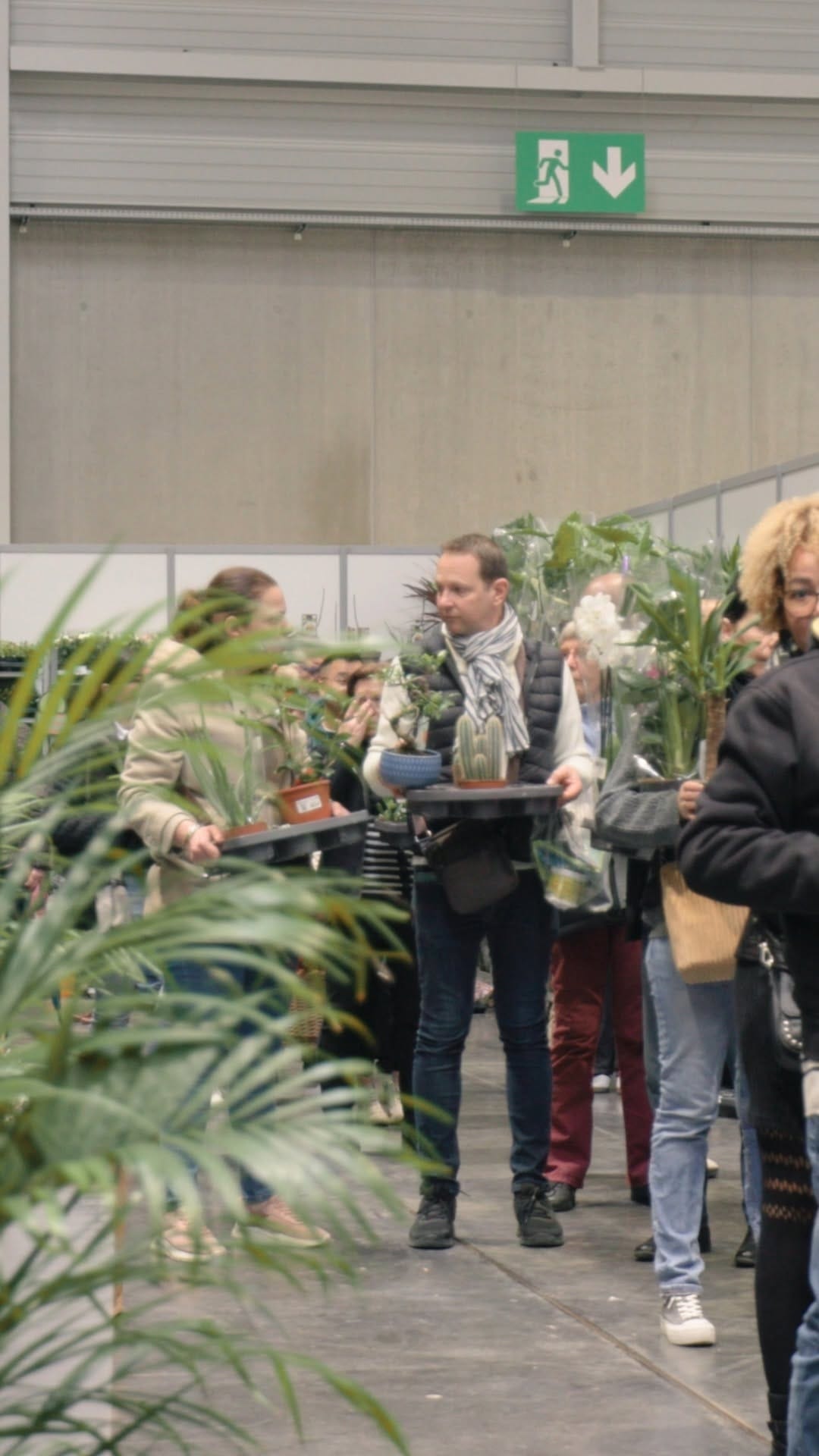 Post 8 by MA PLANTE on Instagram (video)