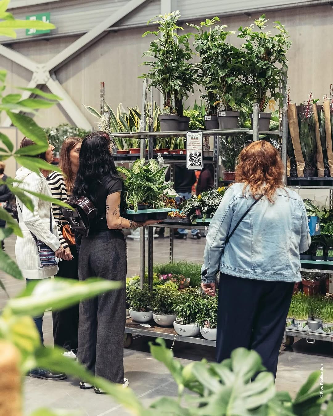 Post 5 by MA PLANTE on Instagram (carousel)
