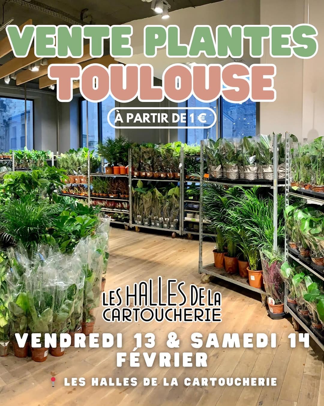 Post 2 by MA PLANTE on Instagram (image)