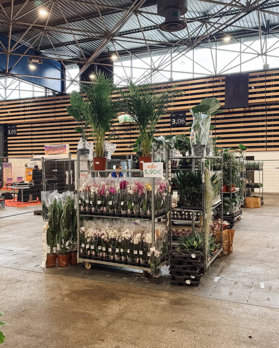 Post 6 by MA PLANTE on Instagram (carousel)
