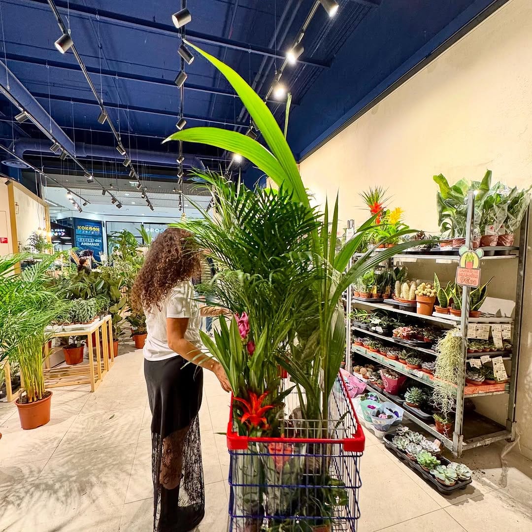 Post 9 by MA PLANTE on Instagram (image)
