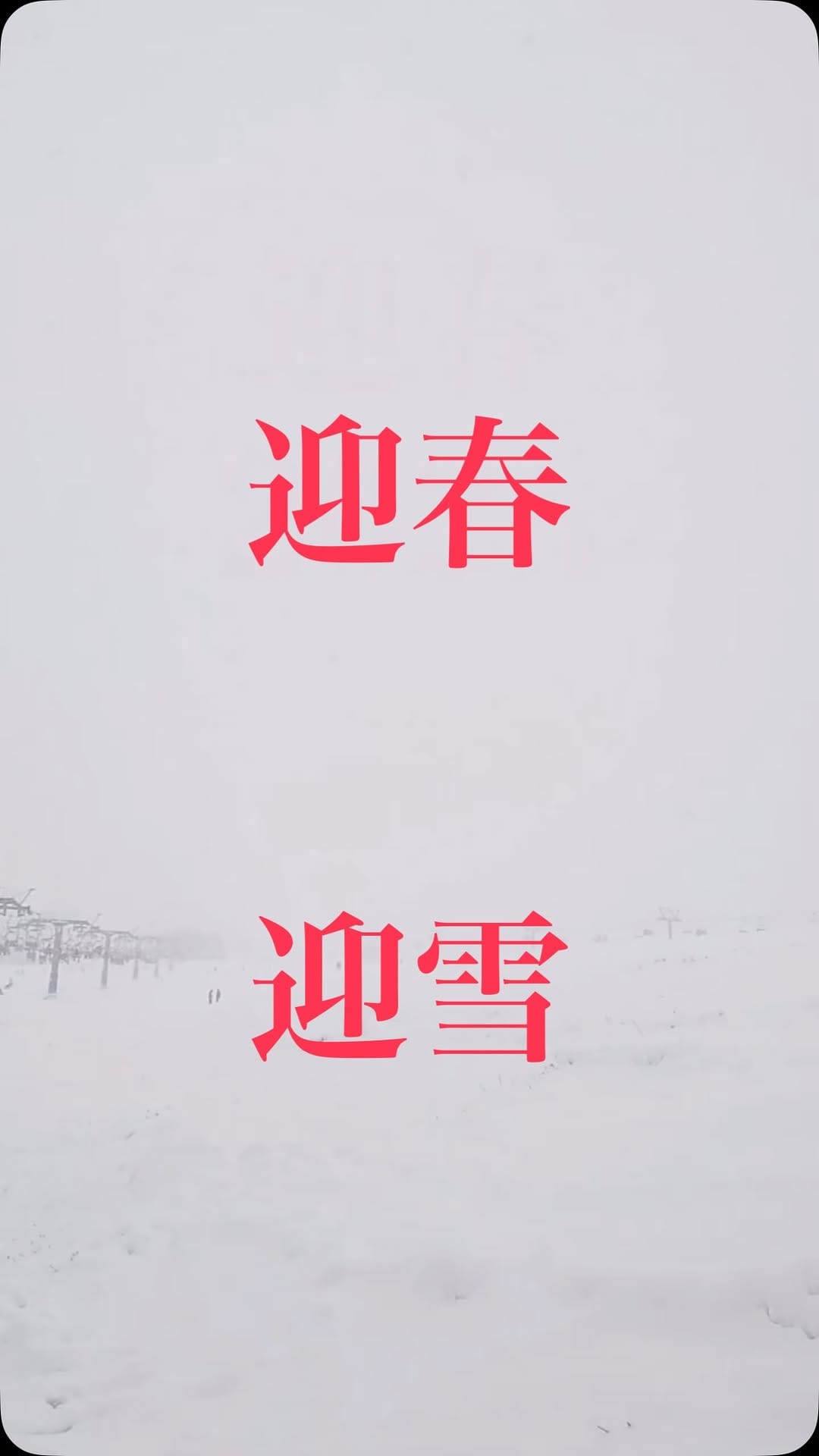 Post 7 by iwappara on Instagram (video)