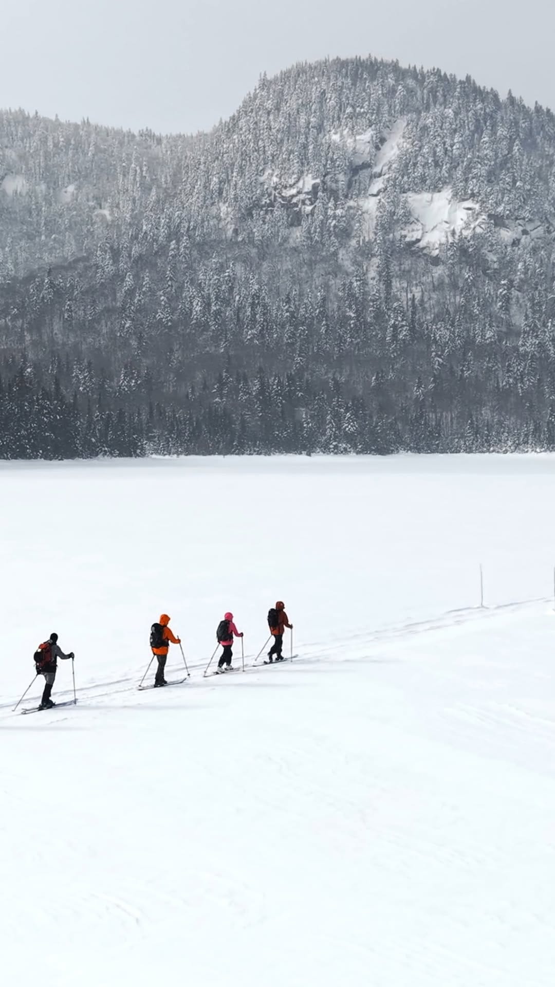 Post 6 by Vallée Bras-du-Nord on Instagram (video)