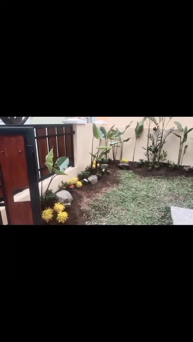 Post 9 by lelang dan jual BIBIT BUNGA & BUAH on Instagram (video)