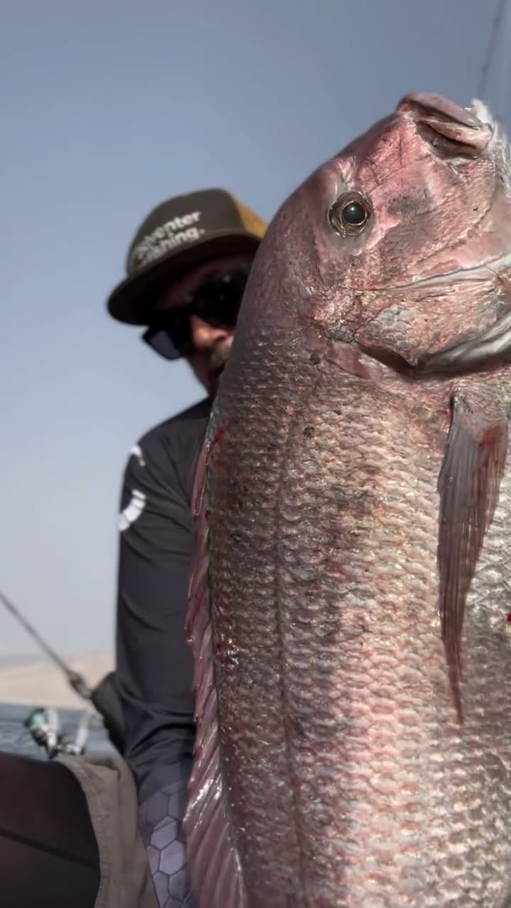 Post 1 by VINCENZO RUSSO on Instagram (video)
