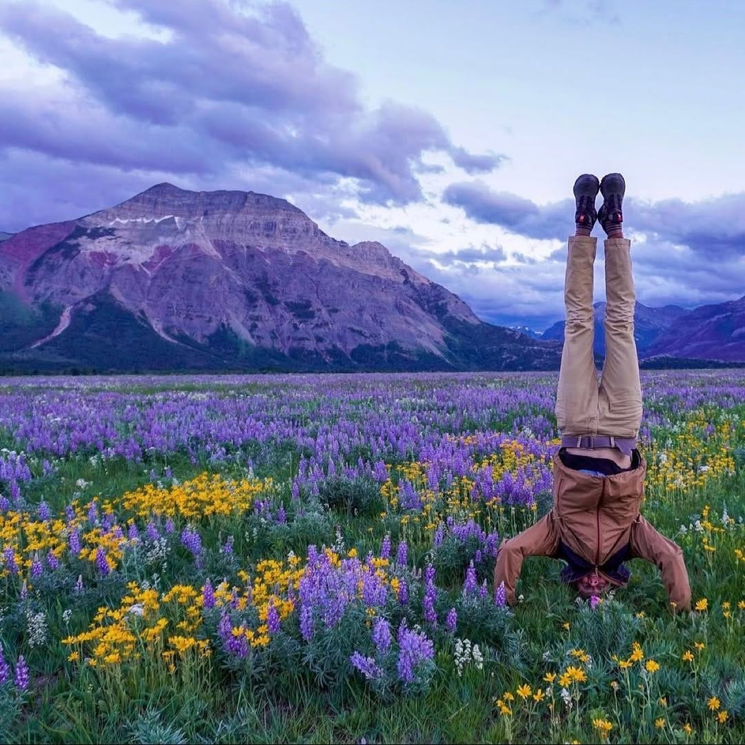 Post 1 by Alberta Mountain Guide on Instagram (image)