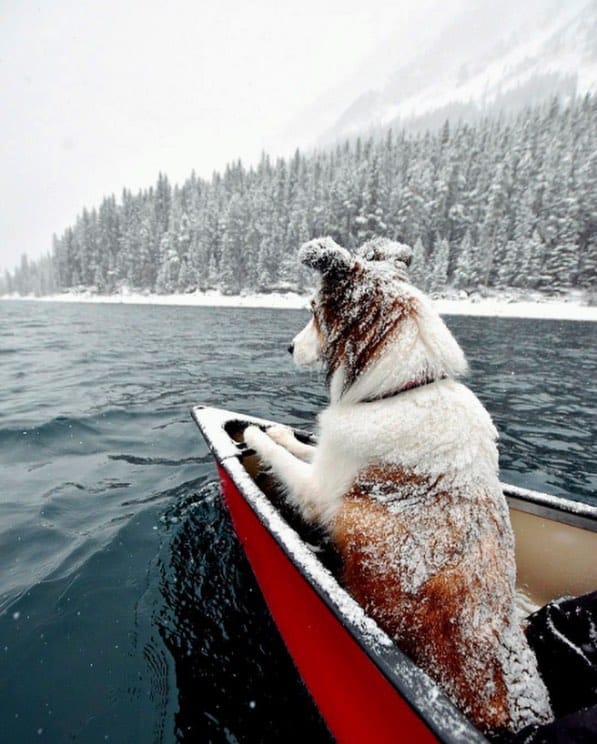 Post 2 by Alberta Mountain Guide on Instagram (image)