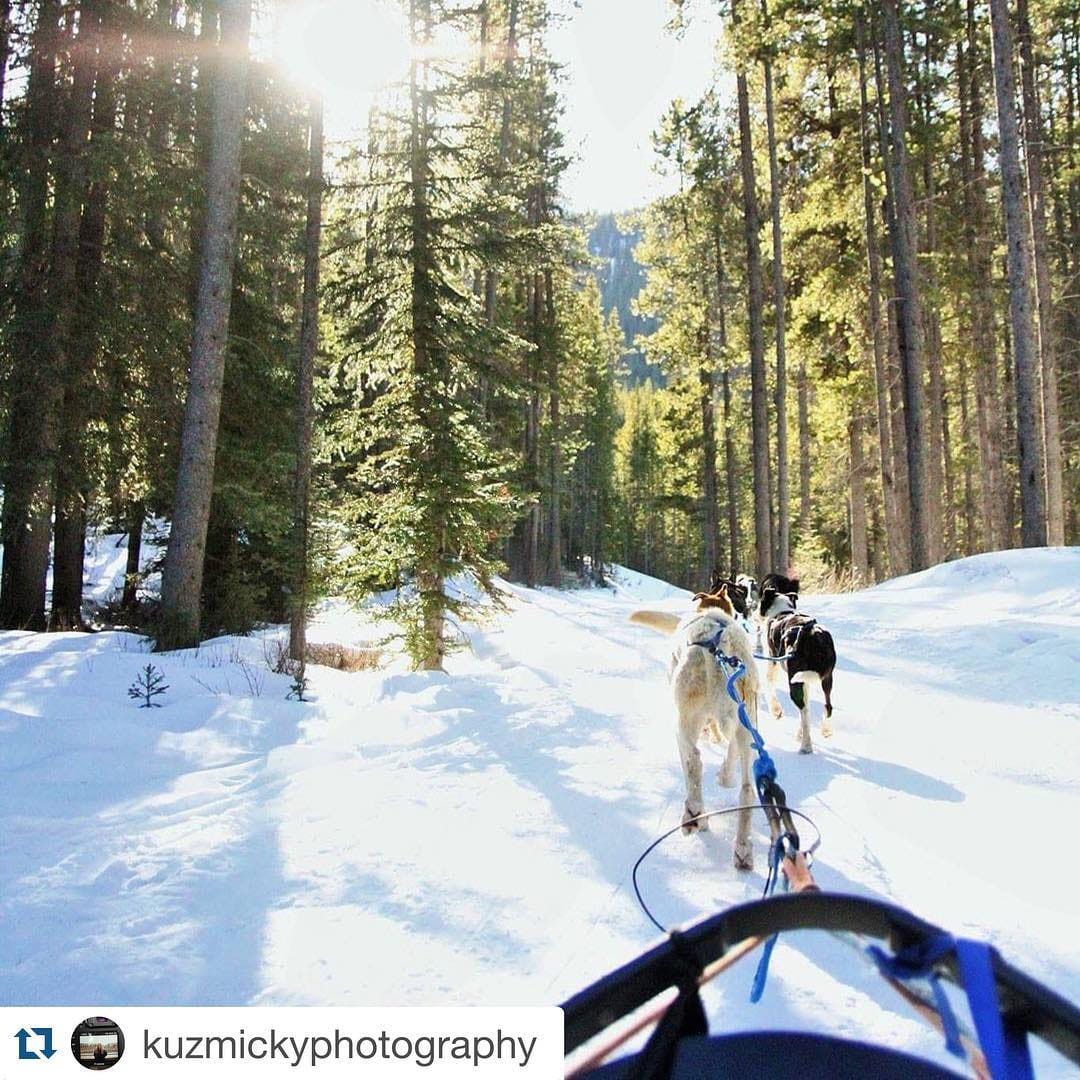 Post 6 by Alberta Mountain Guide on Instagram (image)