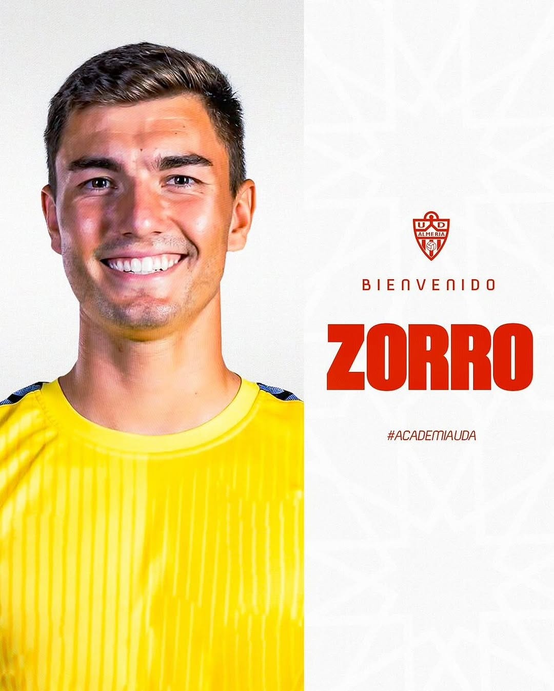 Post 3 by Zorro on Instagram (image)