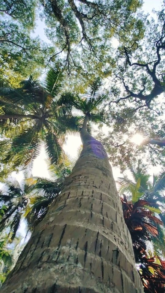 Post 7 by Aditya Bagga on Instagram (video)