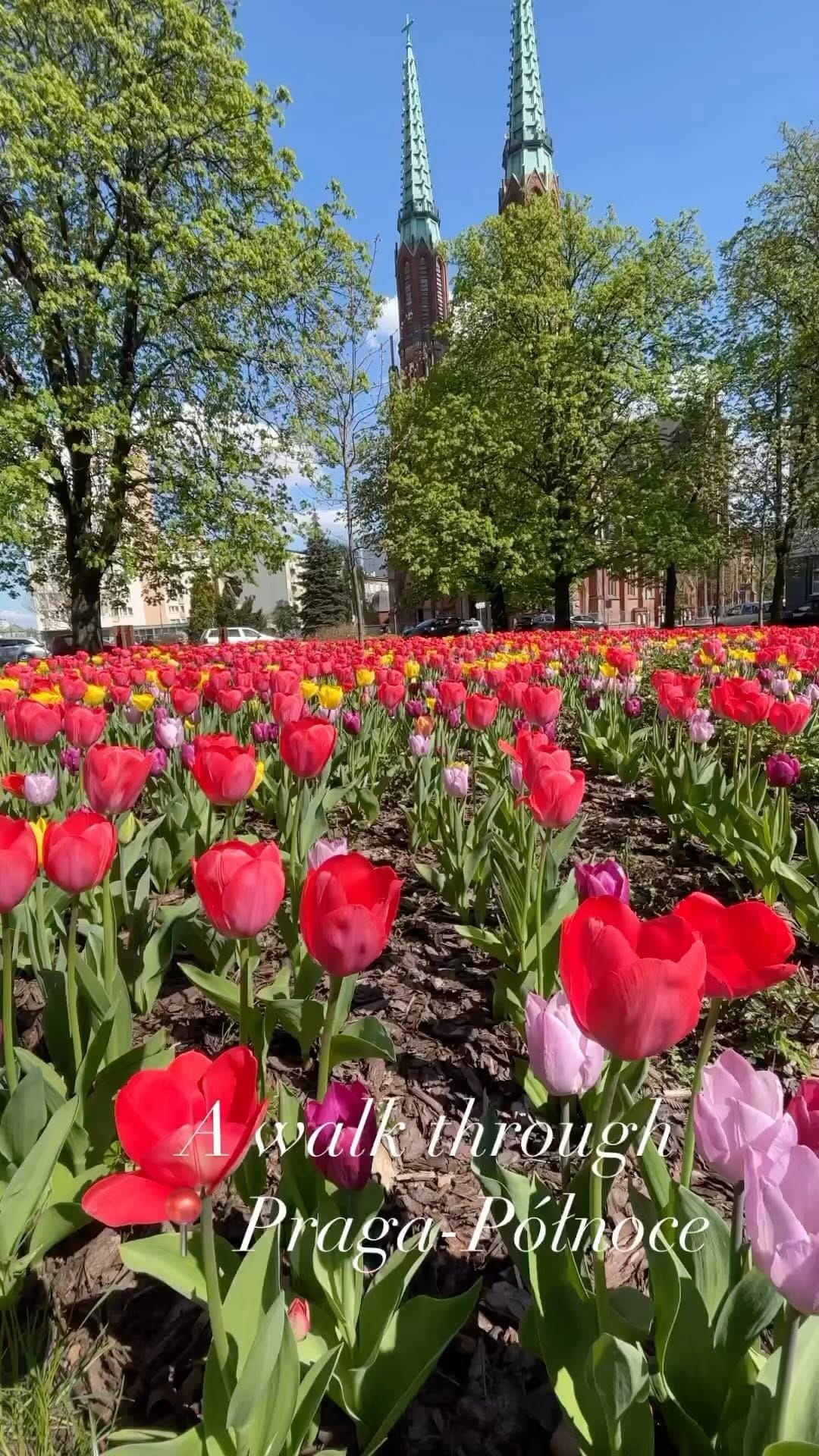 Post 3 by insta_warsaw on Instagram (video)