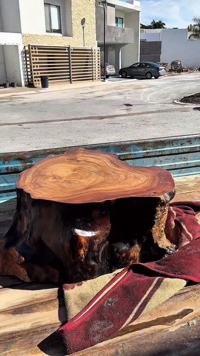 Post 3 by Troncos Art on Instagram (video)