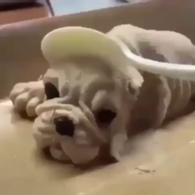 Post 5 by ▶Russia▶Europe on Instagram (video)