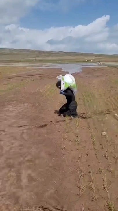 Post 2 by 🚜تراکتورداران/کشاورزان🌾 on Instagram (video)