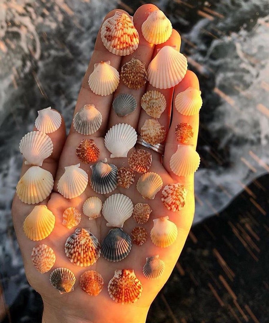 Post 3 by Avalana Reyn Blakely White on Instagram (image)
