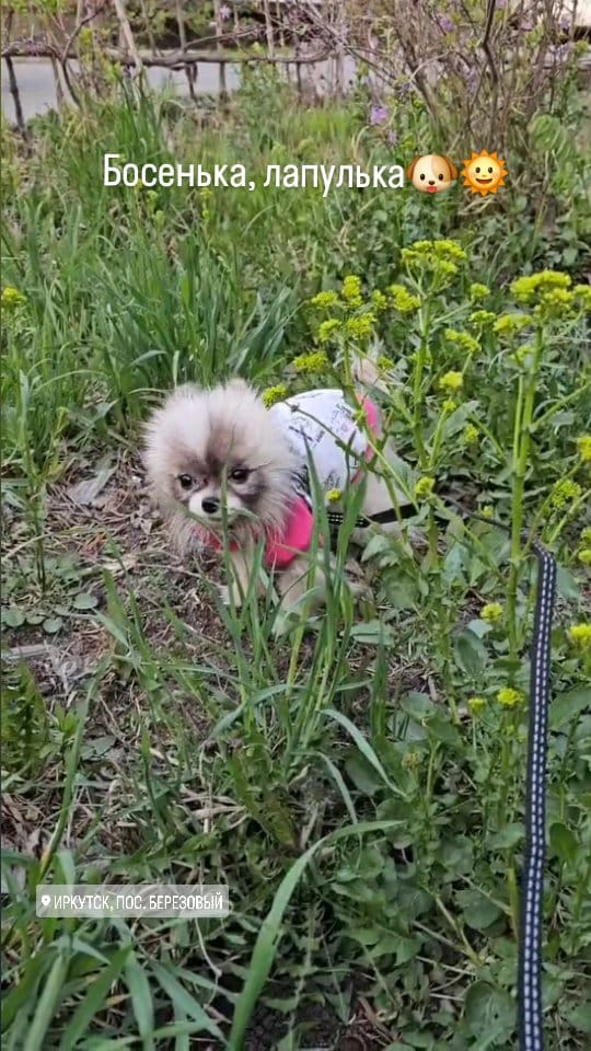 Post 1 by Маникюр on Instagram (video)