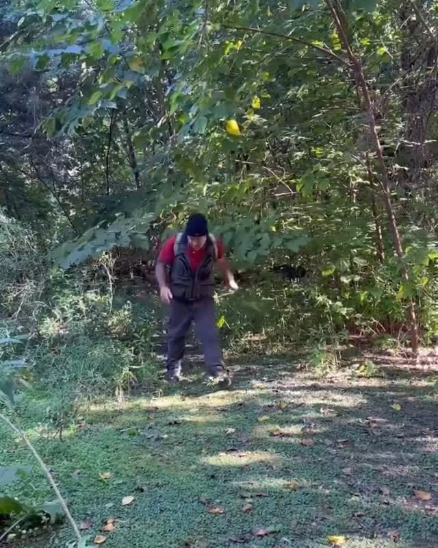 Post 9 by Free Wolf | hamacas y equipamiento outdoor on Instagram (video)