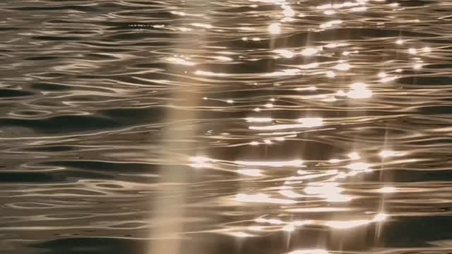 Post 5 by Romy van de Laar on Instagram (video)