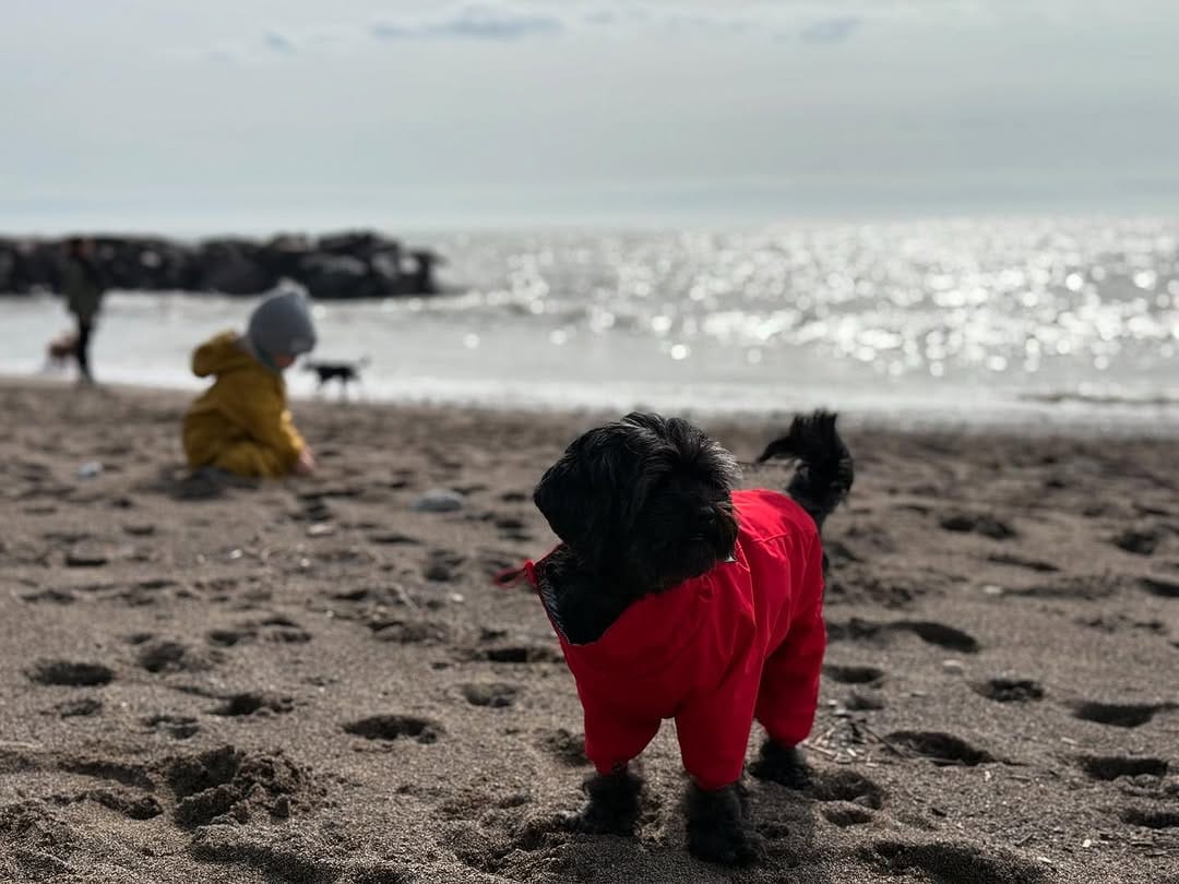 Post 10 by Kona on Instagram (image)