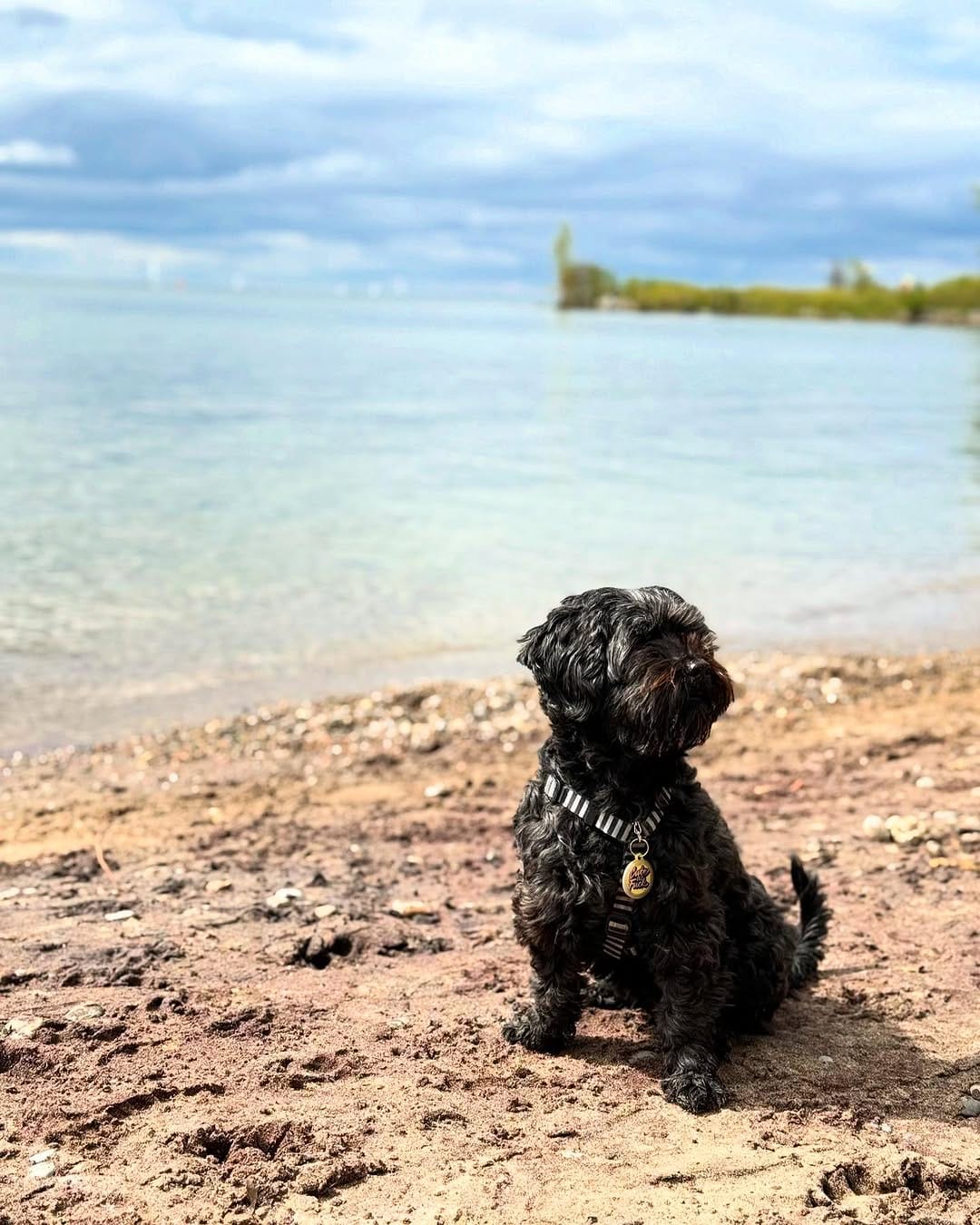 Post 7 by Kona on Instagram (image)
