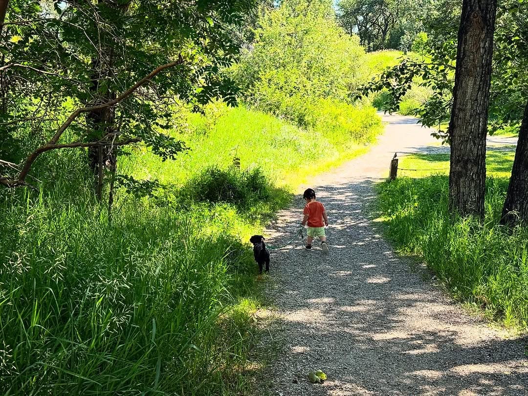 Post 6 by Kona on Instagram (image)