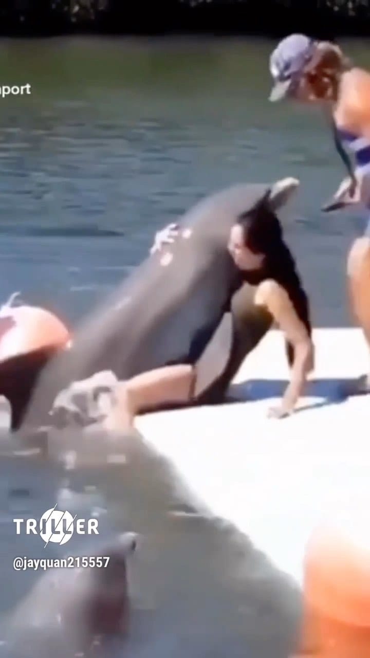 Post 4 by TRILLER FRANCE on Instagram (video)