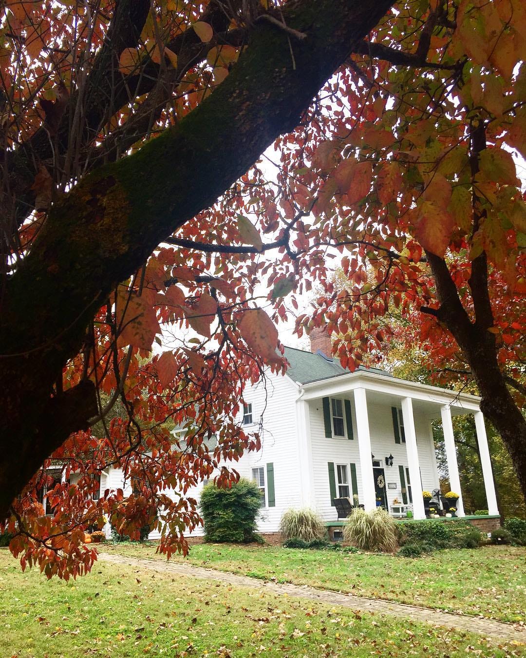Post 10 by Marcy🌿TheConcordFarmhouse on Instagram (image)