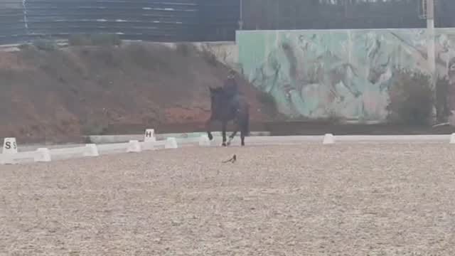 Post 2 by Teia Hernandez on Instagram (video)