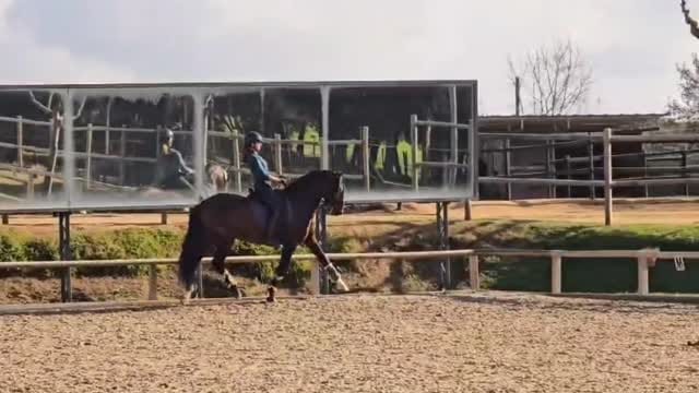 Post 10 by Teia Hernandez on Instagram (video)