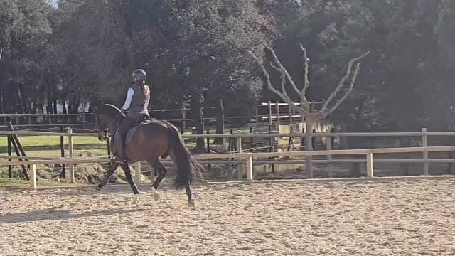 Post 6 by Teia Hernandez on Instagram (video)