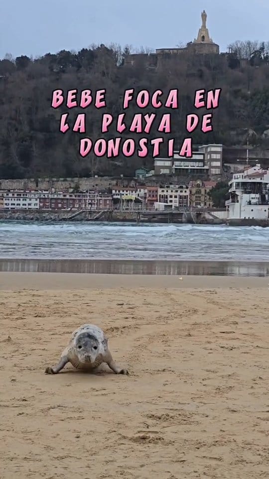 Post 2 by ANIA LÓPEZ - FOTOGRAFÍA/MODA/EVENTOS on Instagram (video)